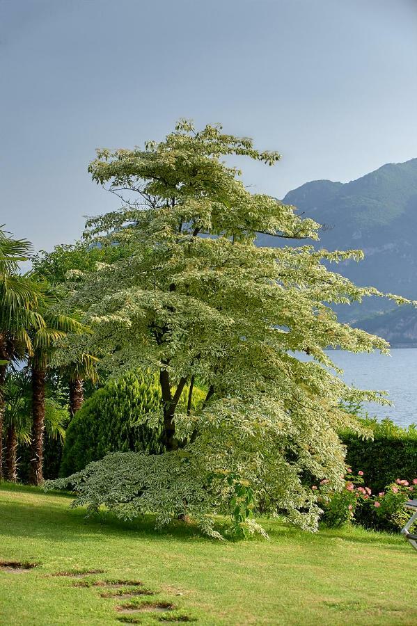 Villa Ucci Onno Extérieur photo